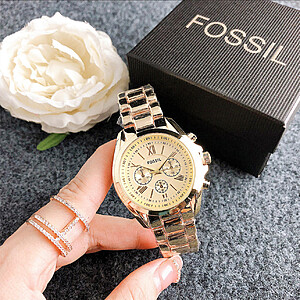 CEAS MODEL FOSSIL*Cutie inclusa